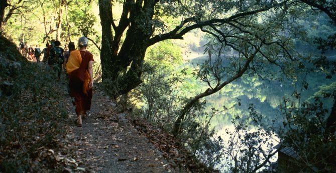 open dharma meditation retreats